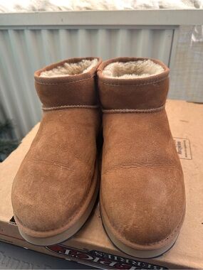 EMU Australia Sharky Micro Booties in Chestnut UGGs
